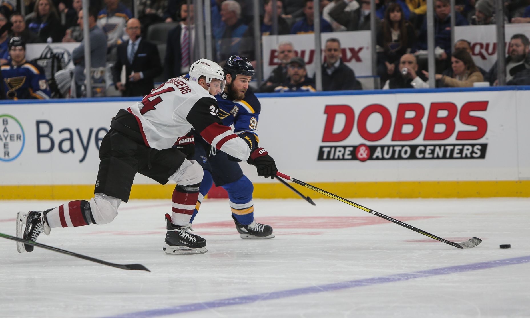 Blues take on the Coyotes